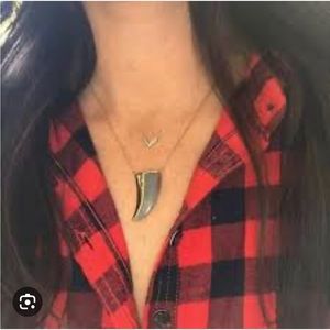 Stella & Dot Split-Stone horn Pendant labrodite